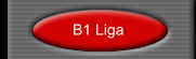 B1 Liga